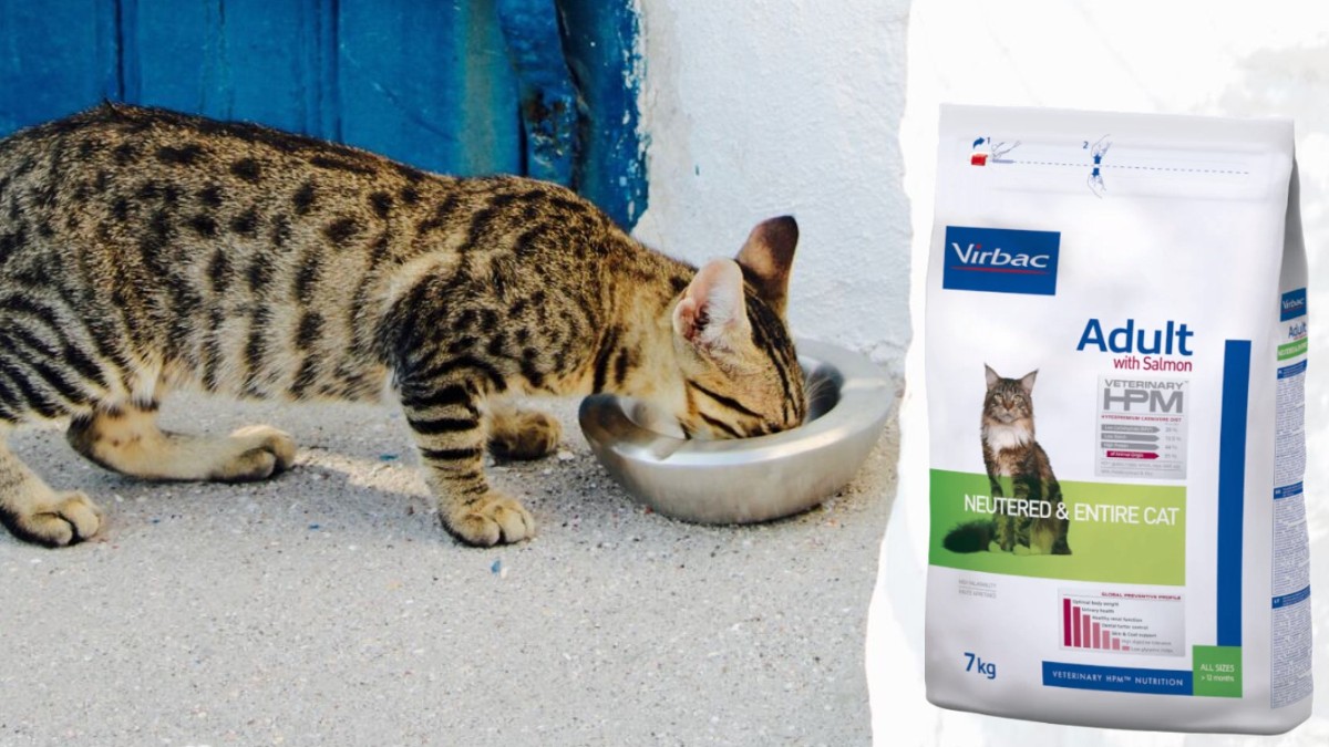 Alimentos Virbac Veterinary HPM® disponibles en MyVetDiet para la formulación des planes nutricionales mixtos y racionamientos PetFood