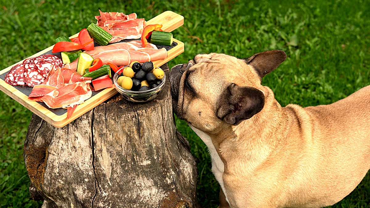 Hay nuevos alimentos en MyVetDiet para componer dietas caseras para tus pacientes