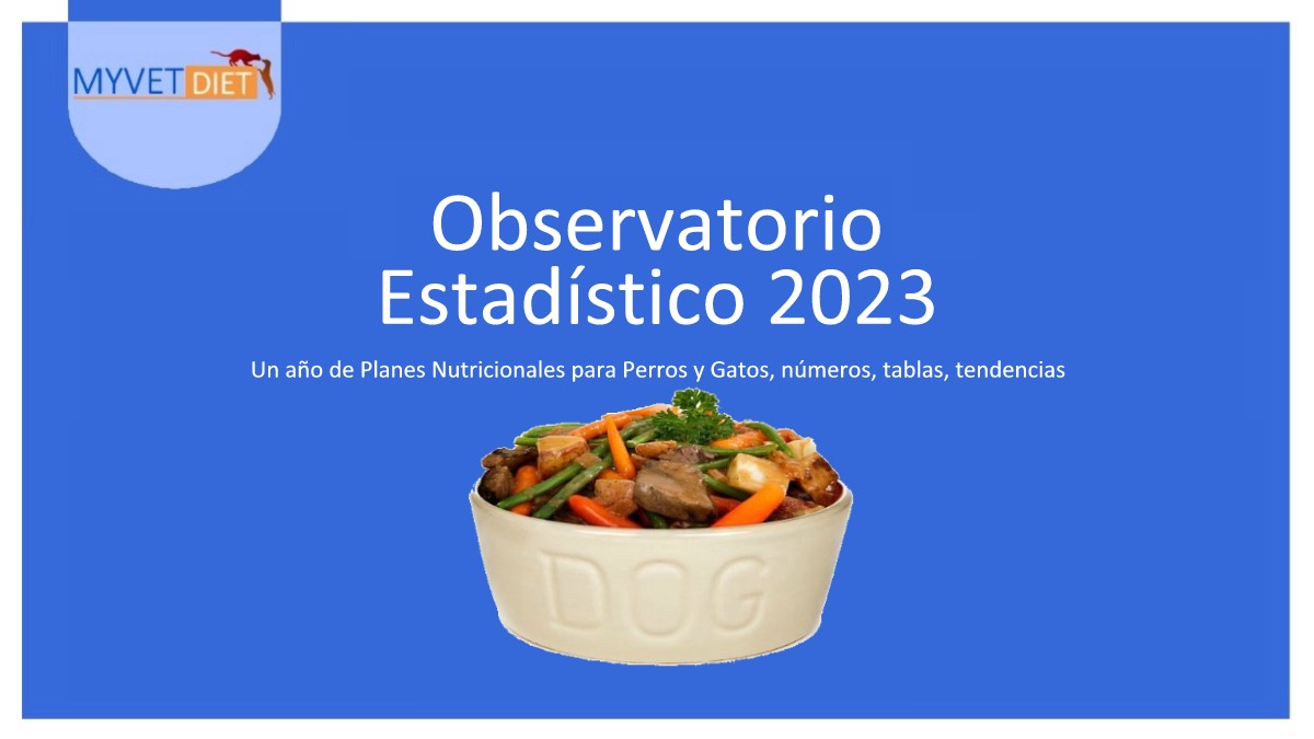 Observatorio Estadístico 2023